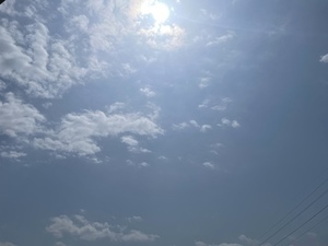 389DCD7C-FA4F-4561-8F83-8EF50DF7FB6F.jpeg